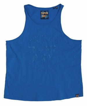 Superdry Theia Graphic Női Mellény Kék | MFCLW8450